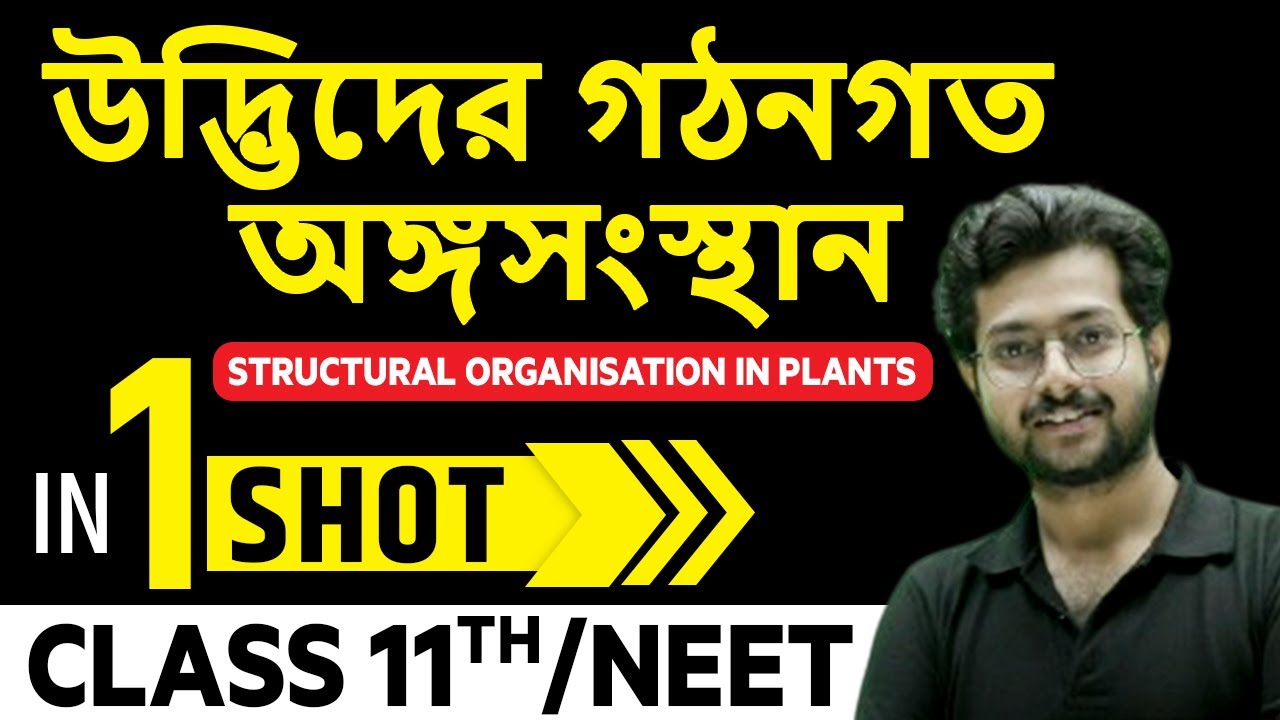 উদ্ভিদের গঠনগত অঙ্গসংস্থান In One Shot | Structural Organisation in plants | Class 11th /NEET