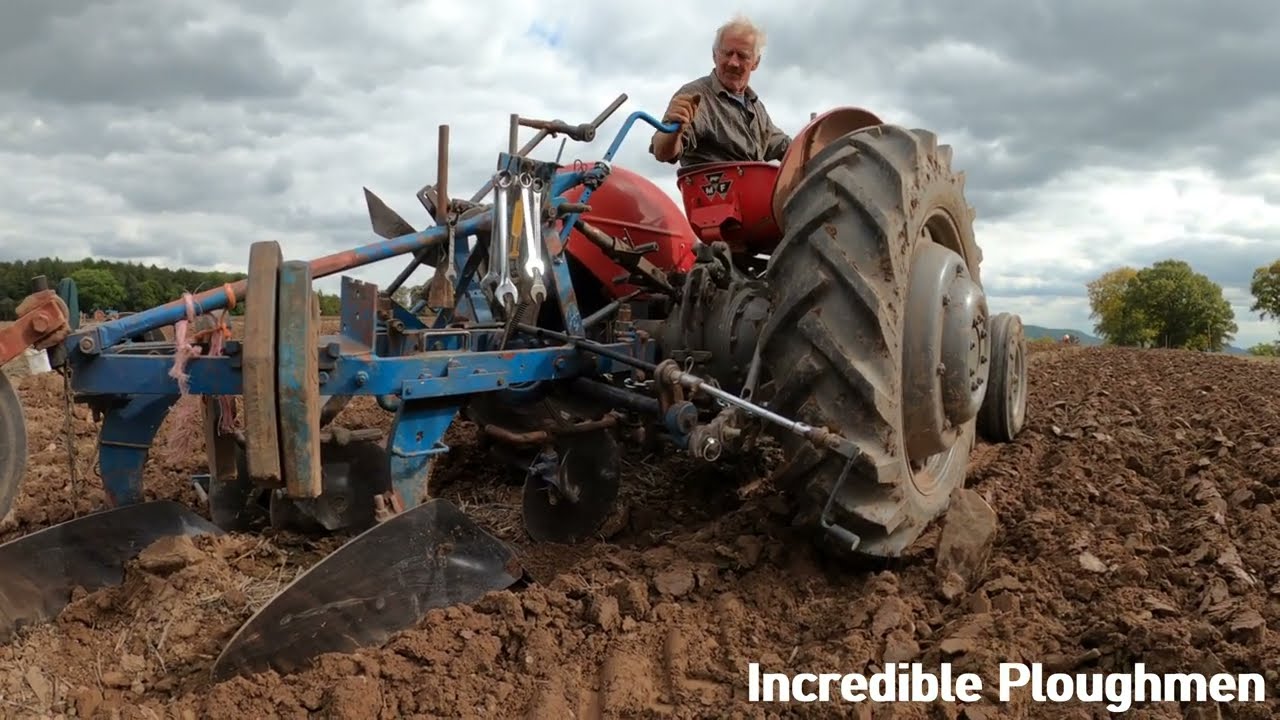 1958 Massey Ferguson 65 MK1 3.3 Litre 4-Cyl Diesel Tractor (58 HP) Weobley Ploughing Match 2025