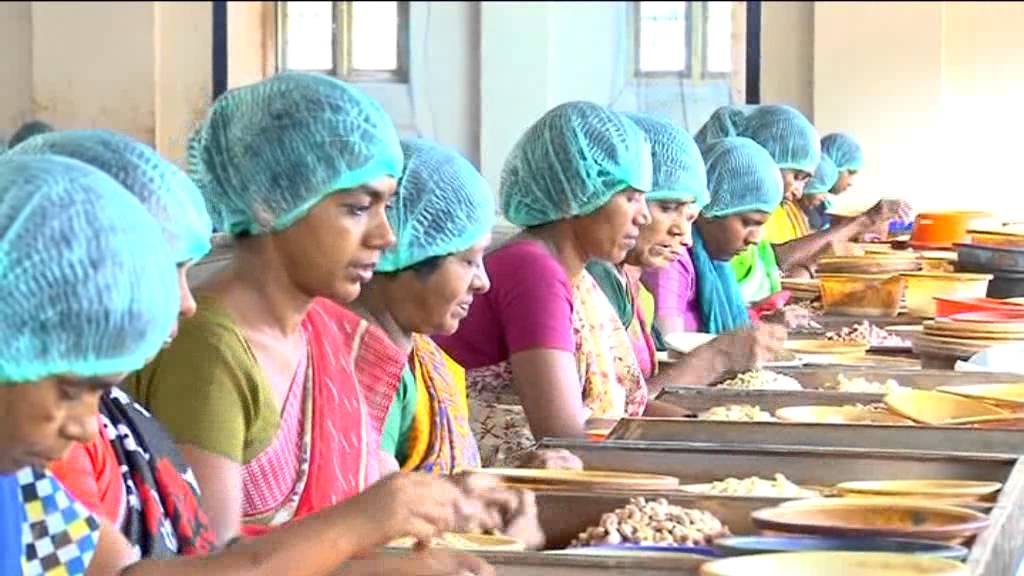 St.Pauls Cashew Factory Video 1