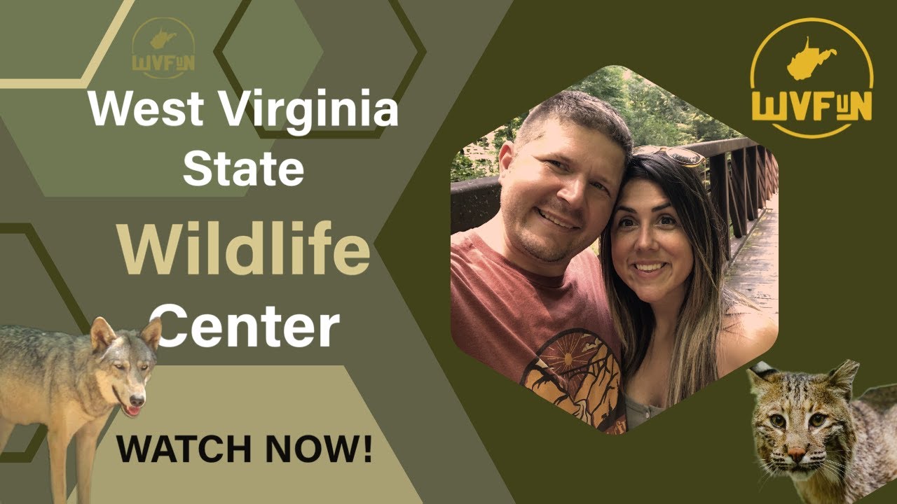 Exploring West Virginia's Wildlife: A Visit to The West Virginia State Wildlife Center