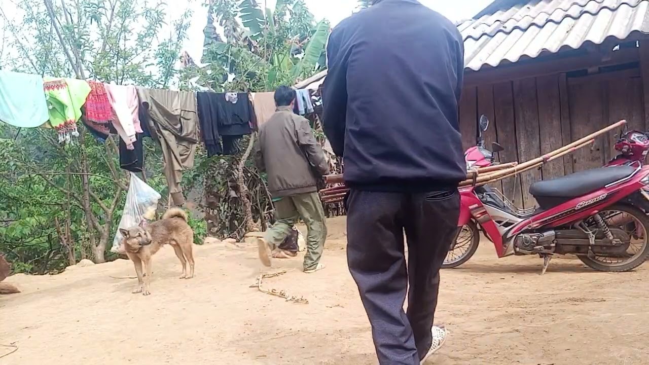 Как вы?