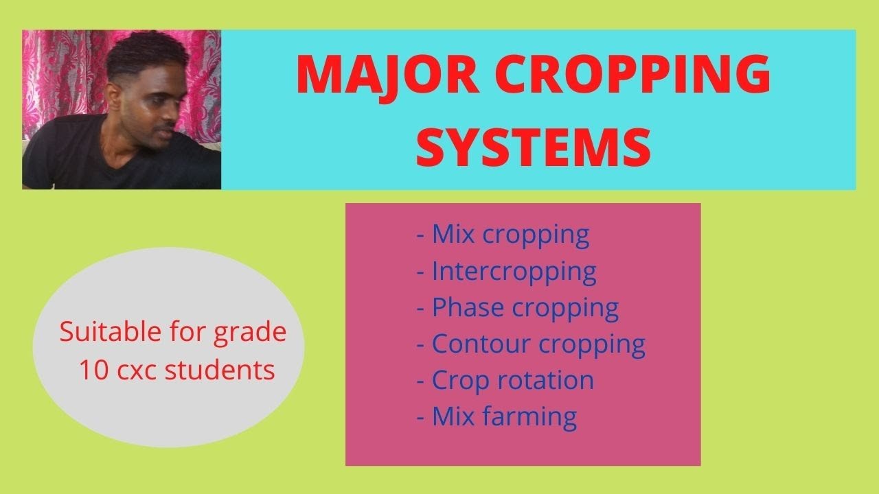 (Grade 10) Major Cropping Systems- Mix cropping, Intercropping, Strip, contour,  Phase cropping etc
