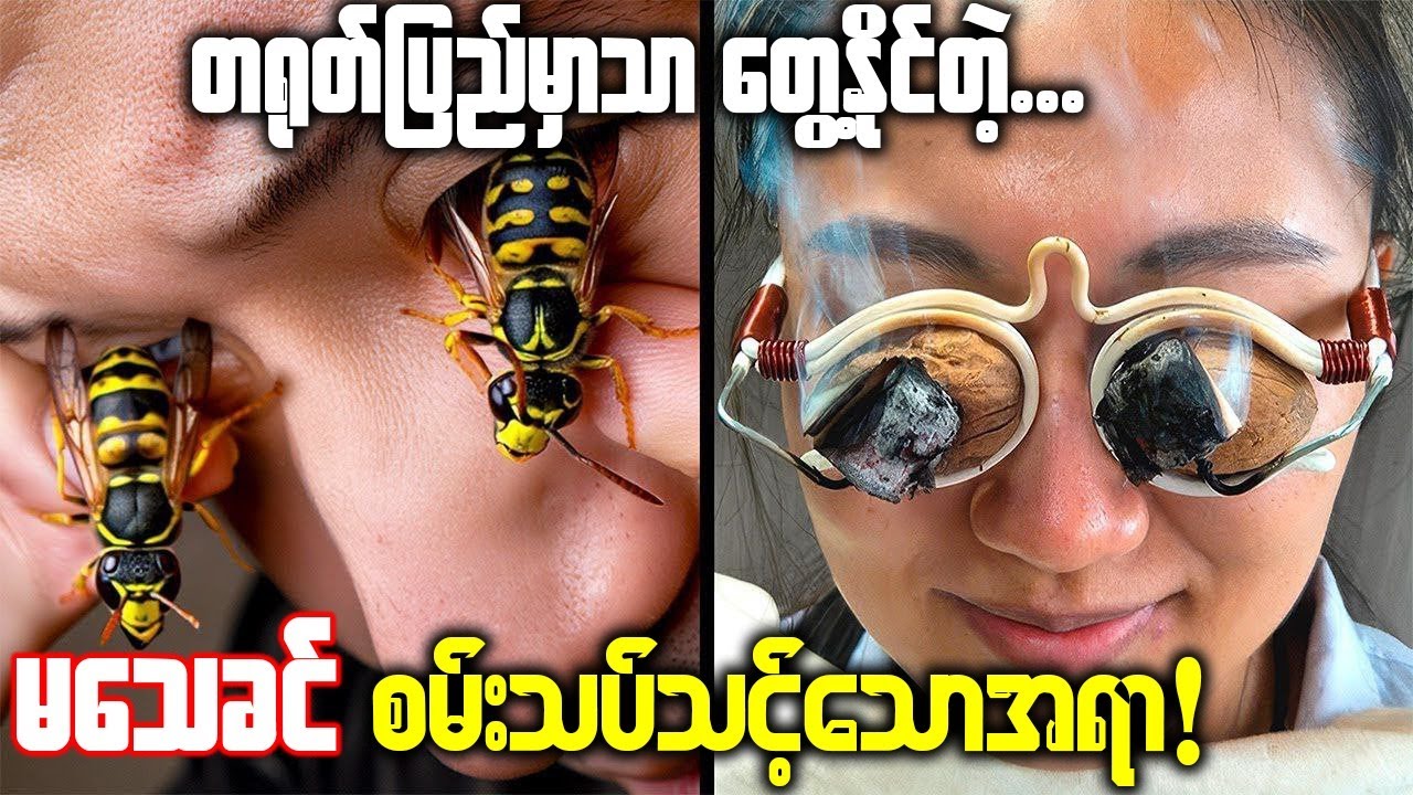 တရုတ်နိူင်ငံမှာသာတွေ့နိူင်တဲ့ မယုံနိူင်စရာ ထူးထူးဆန်းဆန်းအရာများ!