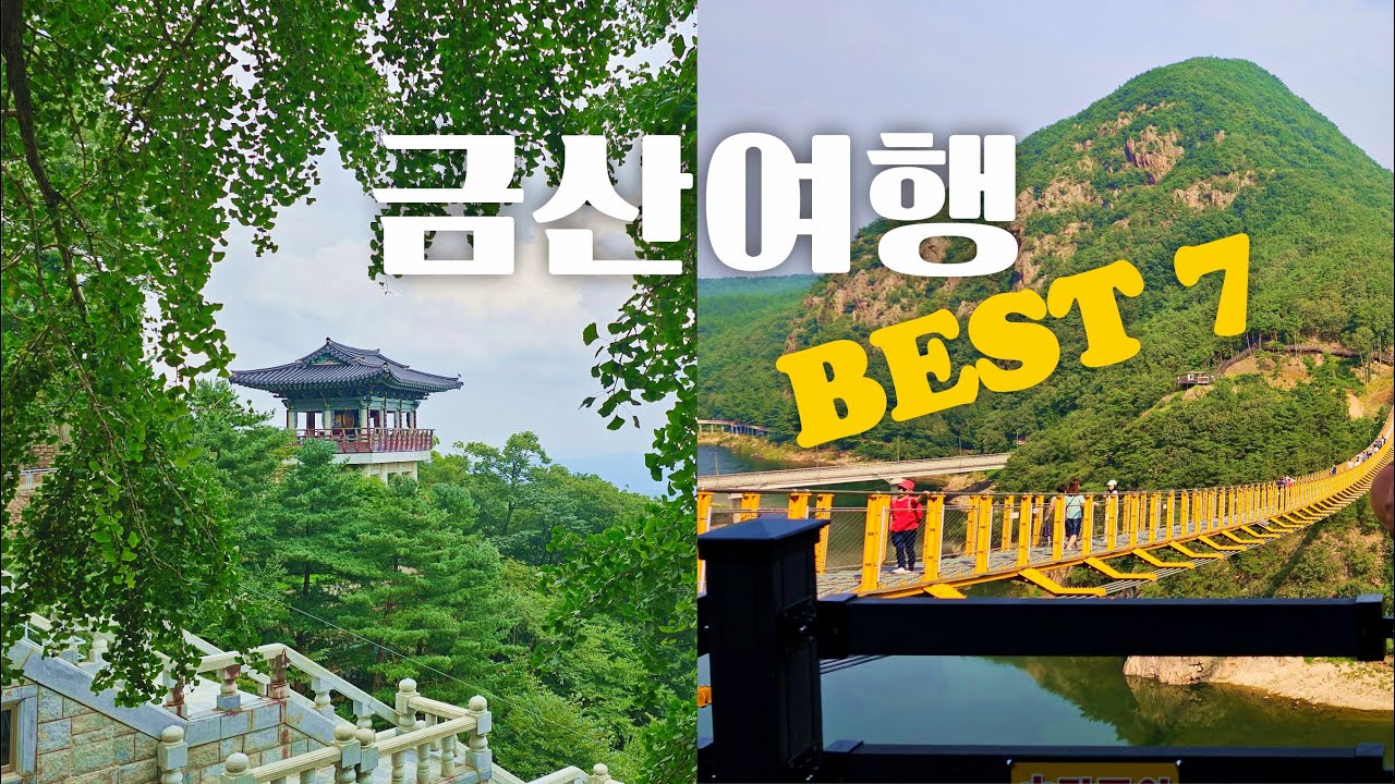 국내 숨겨진 여행 명소 충남 금산 BEST 7 완벽 정리🏞️월영산 출렁다리 캐슬1477 개삼터 금산생태숲 태고사 하늘물빛정원