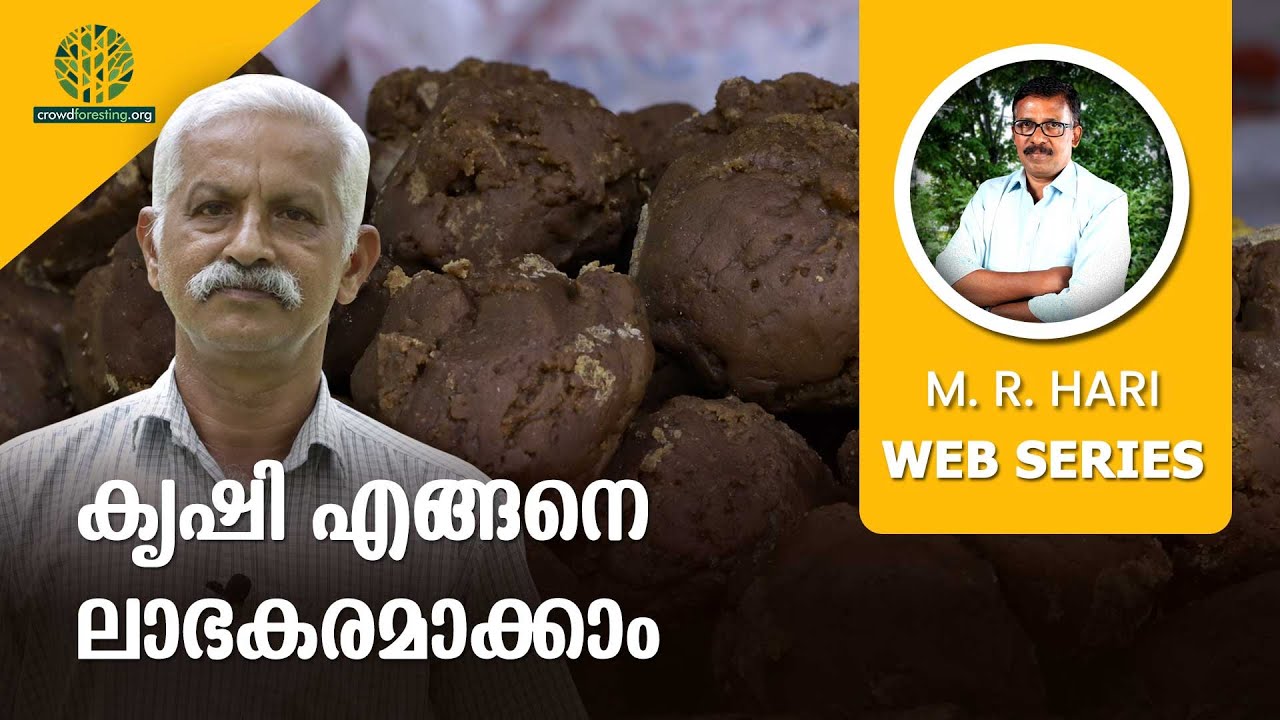 കൃഷി എങ്ങനെ ലാഭകരമാക്കാം | മൂല്യവർദ്ധിത ഉത്പന്നങ്ങൾക്കൊരു മാതൃക| MODEL FOR VALUE-ADDED AGRI PRODUCTS