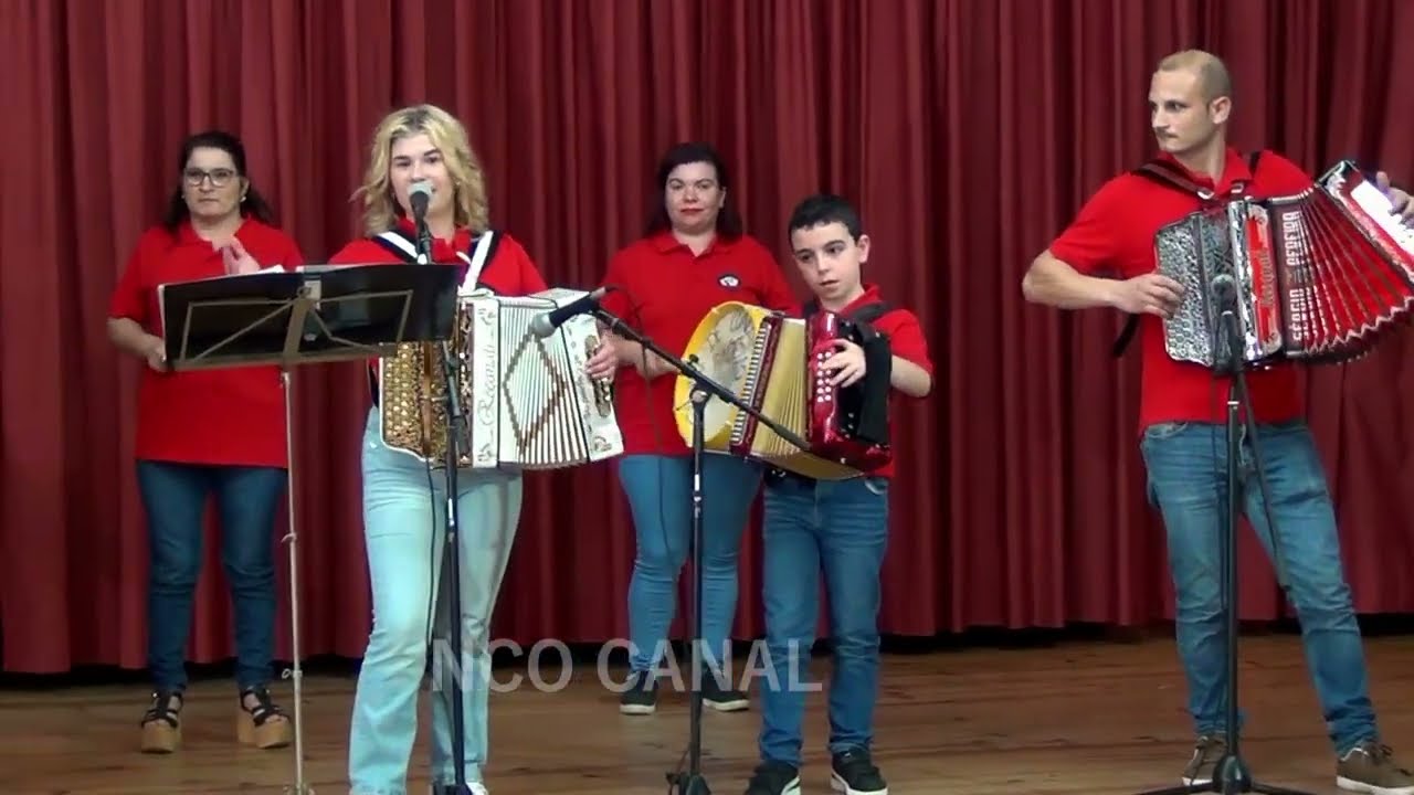 Grupo de Concertinas Raízes de Segadães, Águeda (7)