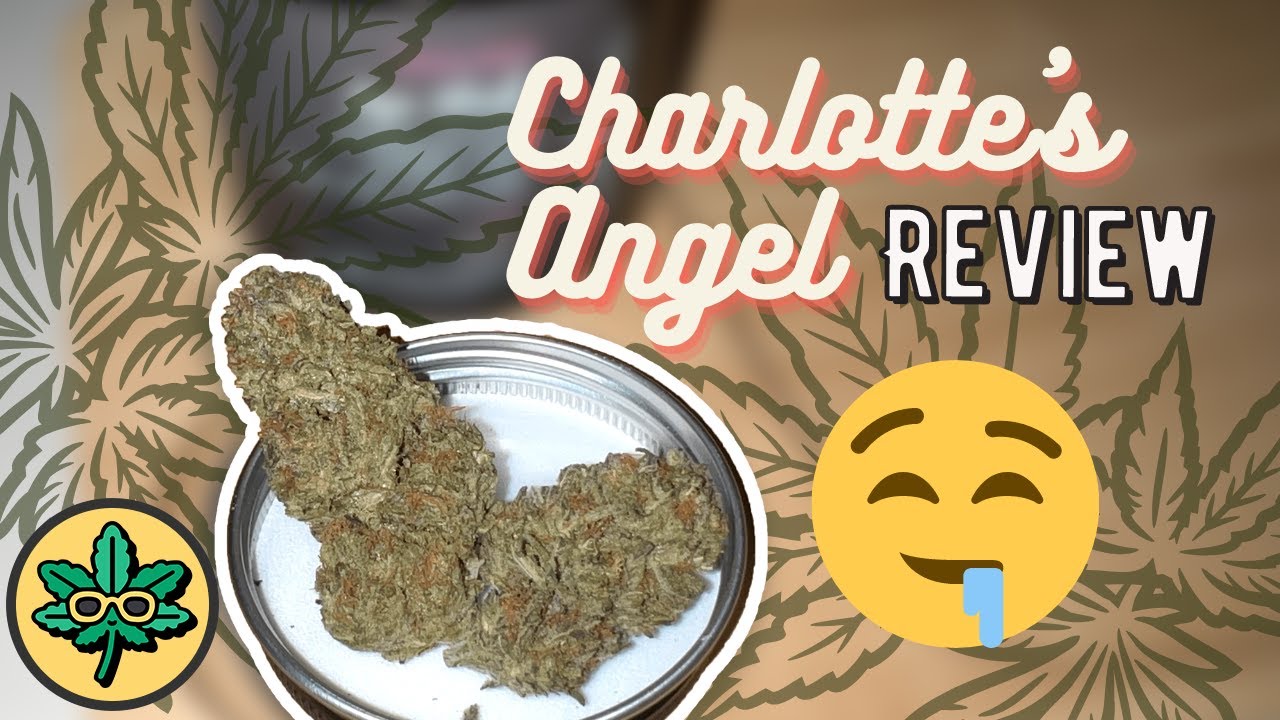 Charlottes Angel Strain Review by LocalBoys (High CBD Weed)