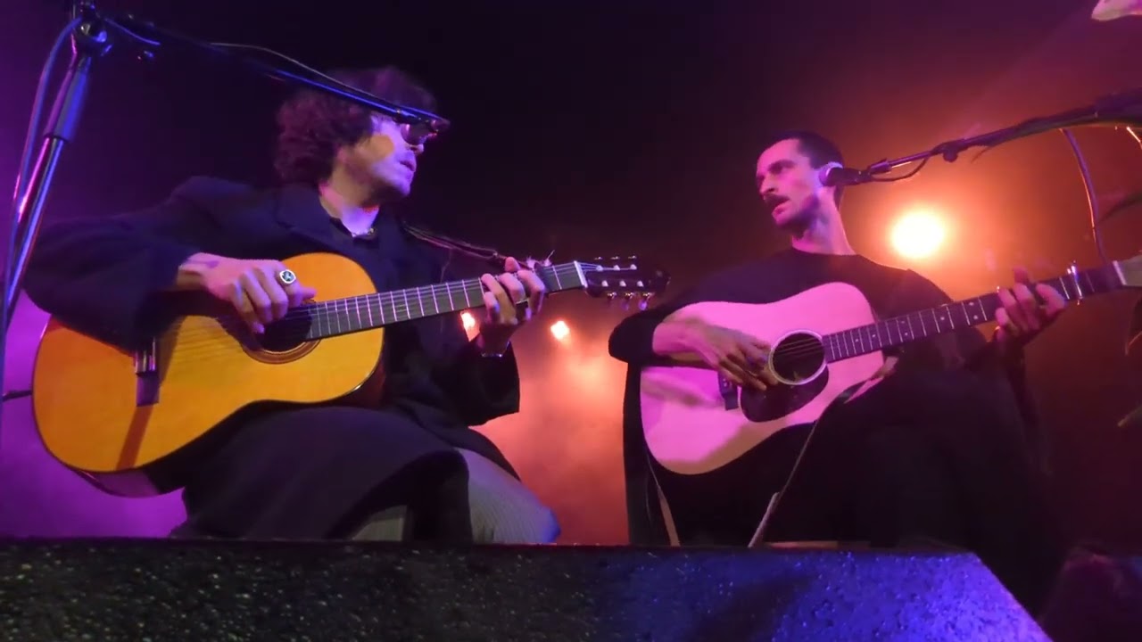 The Düsseldorf Düsterboys - 