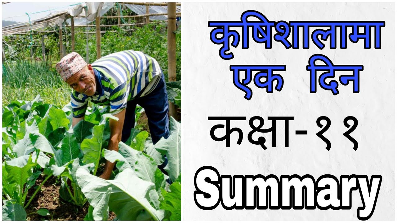 Class 11 CHAPTER 10 कृषिशलमा एक दिन ( Krishisahala Ma Ek Din ) Full Explained [Summary]