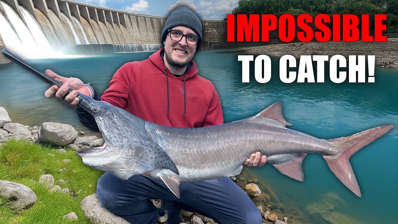 В погоне за рыбой, которая не клюёт на приманку!