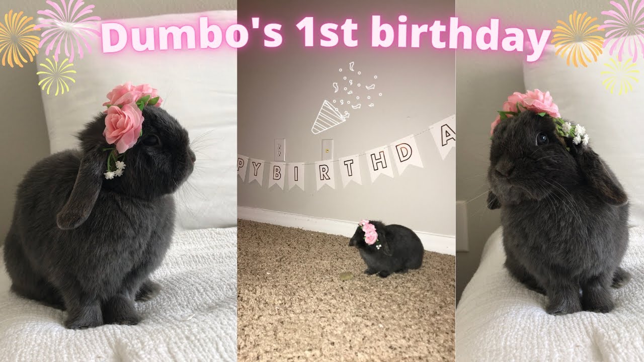 BUNNY BIRTHDAY PARTY