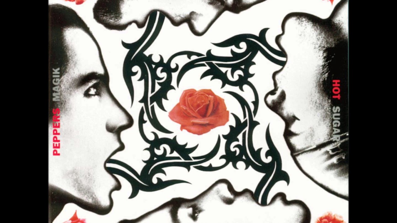 Apache Rose Peacock - Red Hot Chili Peppers