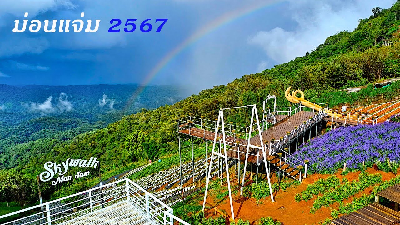 เส้นทางขึ้น ม่อนแจ่ม, ฟอร์มูล่าม้ง, คาเฟ่ชมวิวสูง 1,300 เมตร