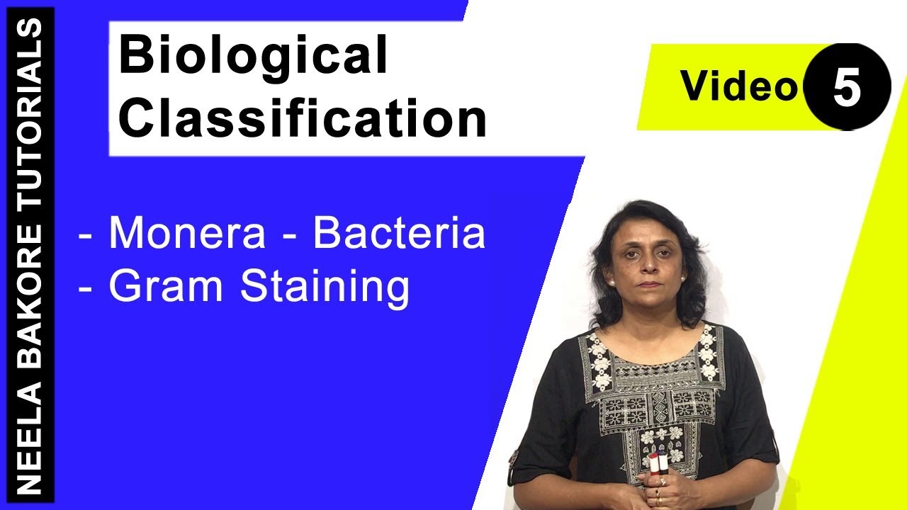 Biological Classification | NEET | Monera - Bacteria - Gram Staining | Neela Bakore Tutorials