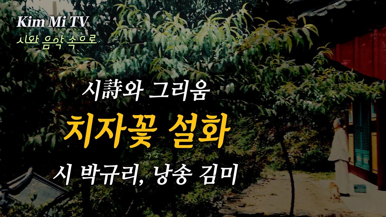 치자꽃 설화 / 시 박규리, 낭송 김미