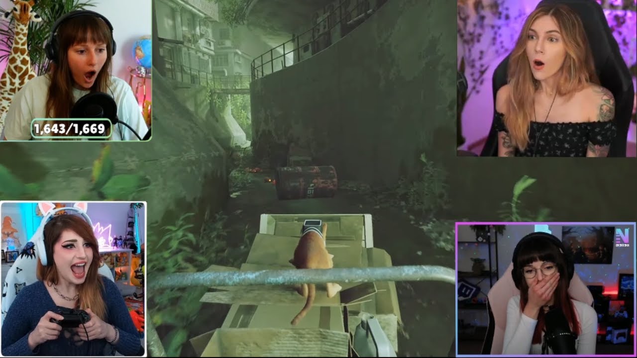Stray  game -Streamers react (fall cat #2)