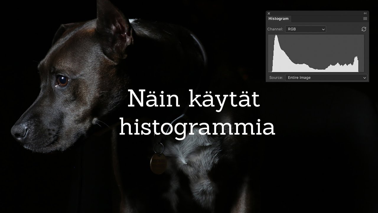 Histogrammin tulkinta – paras työkalu valotuksen arviointiin