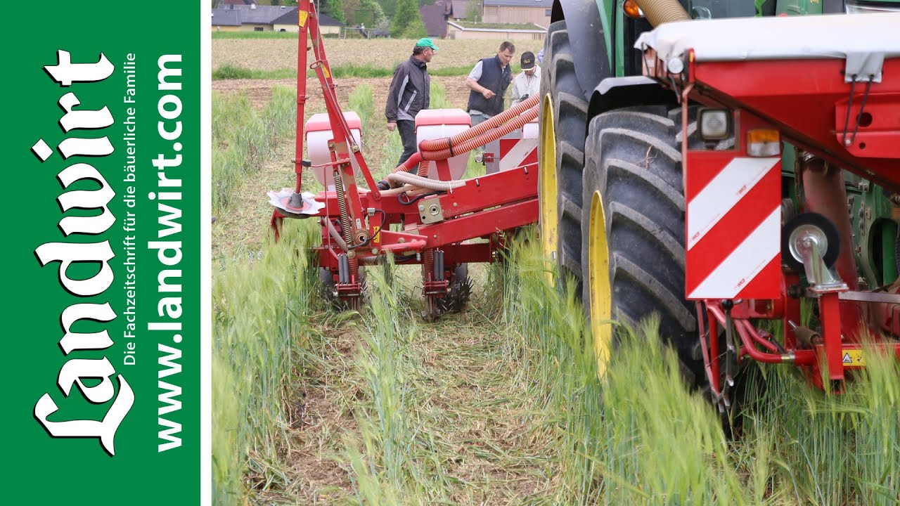 Erosionsschutz beim Maisanbau | landwirt.com