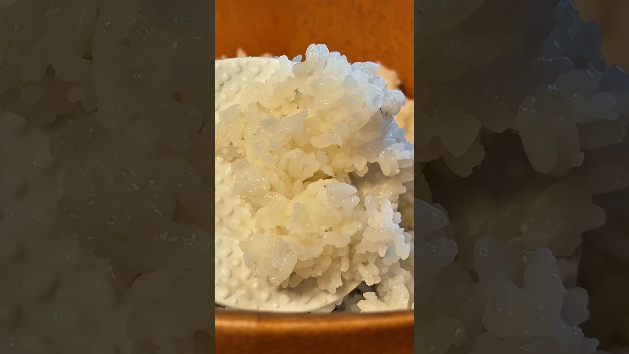 Arroz pra Sushi | Como Fazer Sushi | com a F&ecirc; Mendes #sushi #comofazersushi #shari