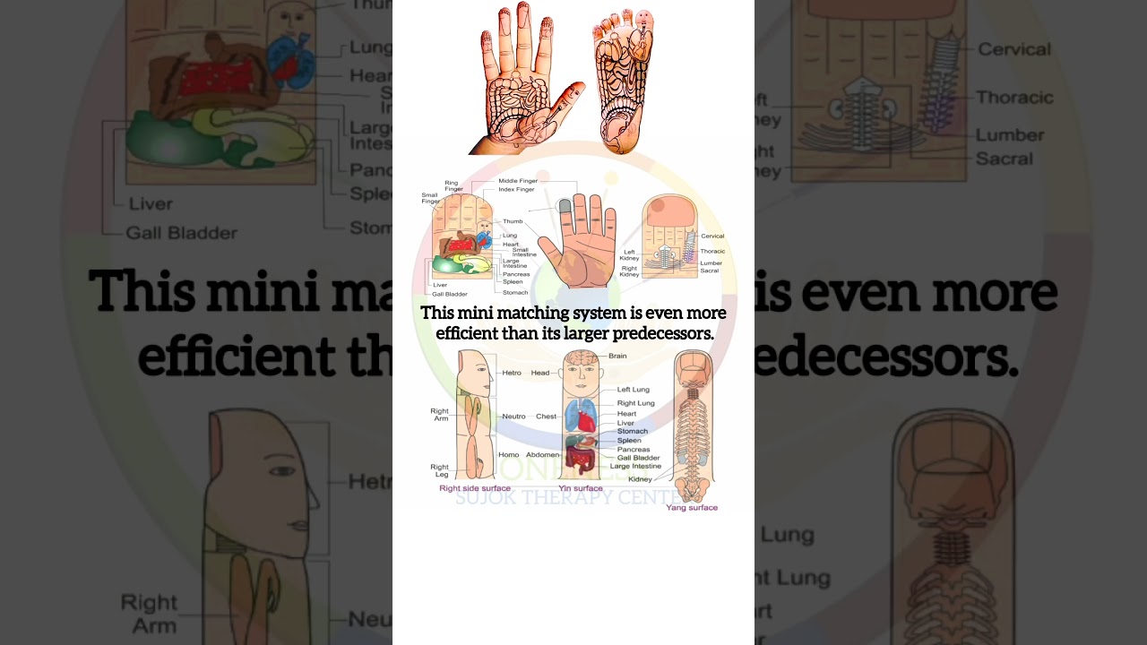 Sujok Standard Correspondence Mini System In The Fingers|| #sujok #acupressure #acupuncture #healing