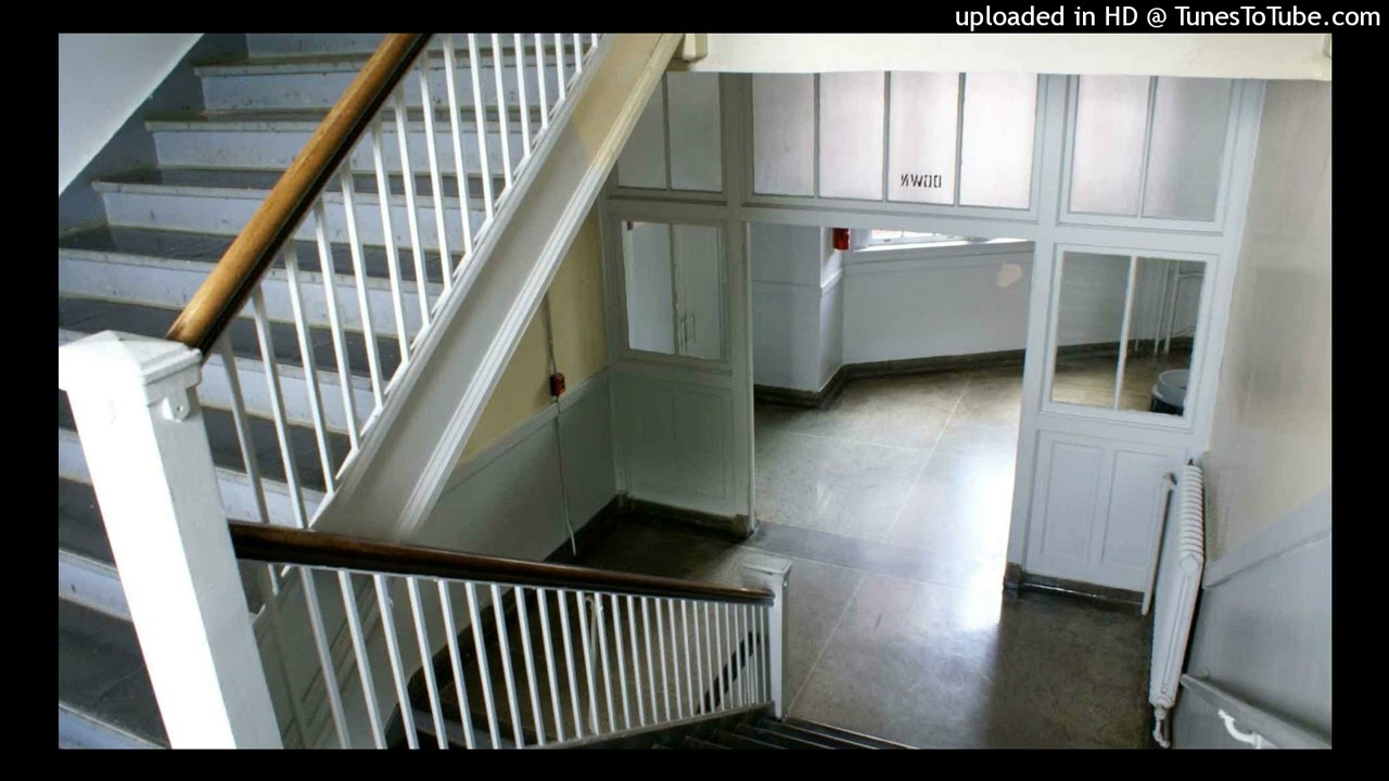 MGMT - Kids 🚸 but you're in an empty school hall