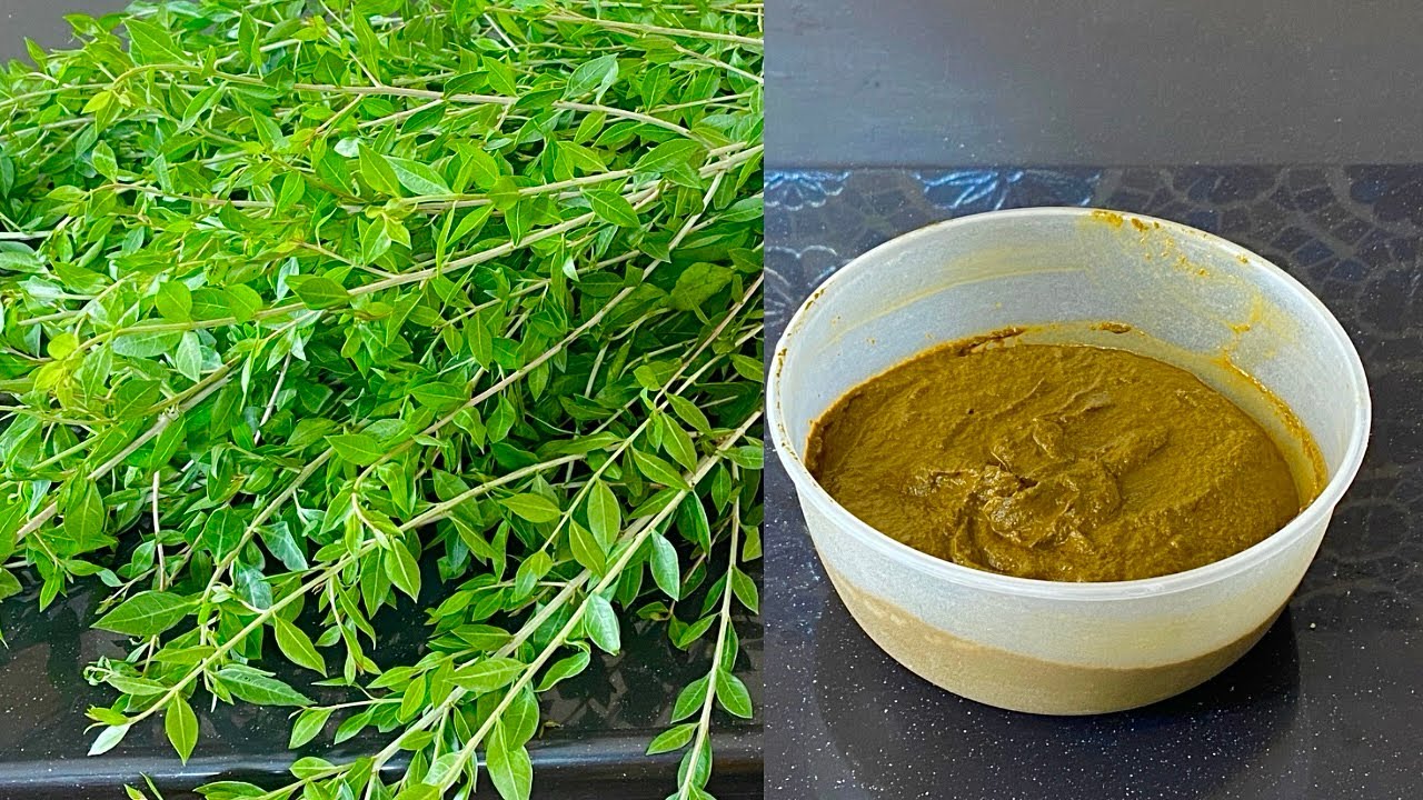 Fresh Henna Leaves For Hair/ मेहंदी के पत्तों को बालों के लिए ऐसा पीसना है Mehendi Patta Hair Pack