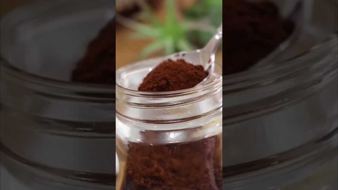 I tried coffee and lemon for weight loss|No diet restrictions No workouts #coffeeforweightloss
