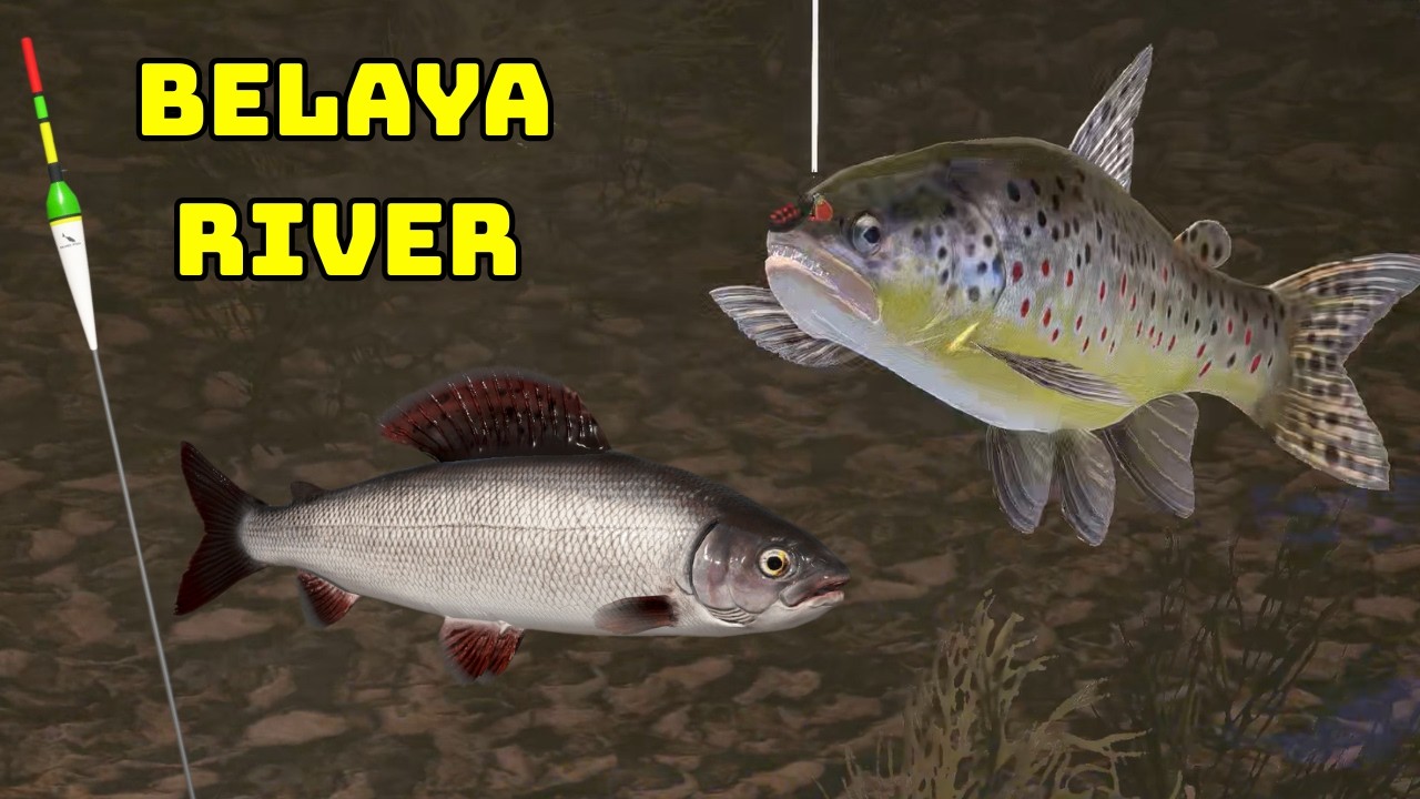 Wyprawa Rzeka Belaya float & spin (121) | Russian Fishing 4