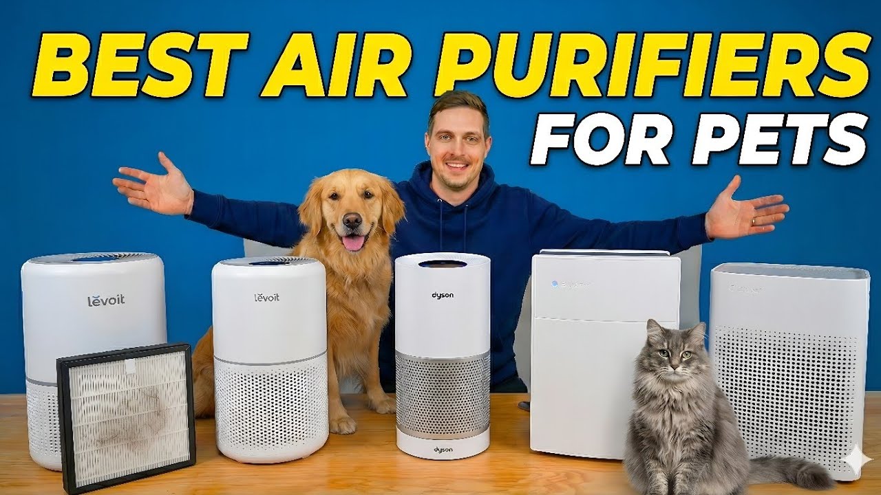 Best Air Purifiers For Pets in 2026✅ Top Picks in Each Budget 🏆
