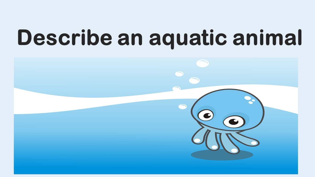 Describe an aquatic animal Talk about an aquatic animal January to April 2022 IELTS  Cue Card