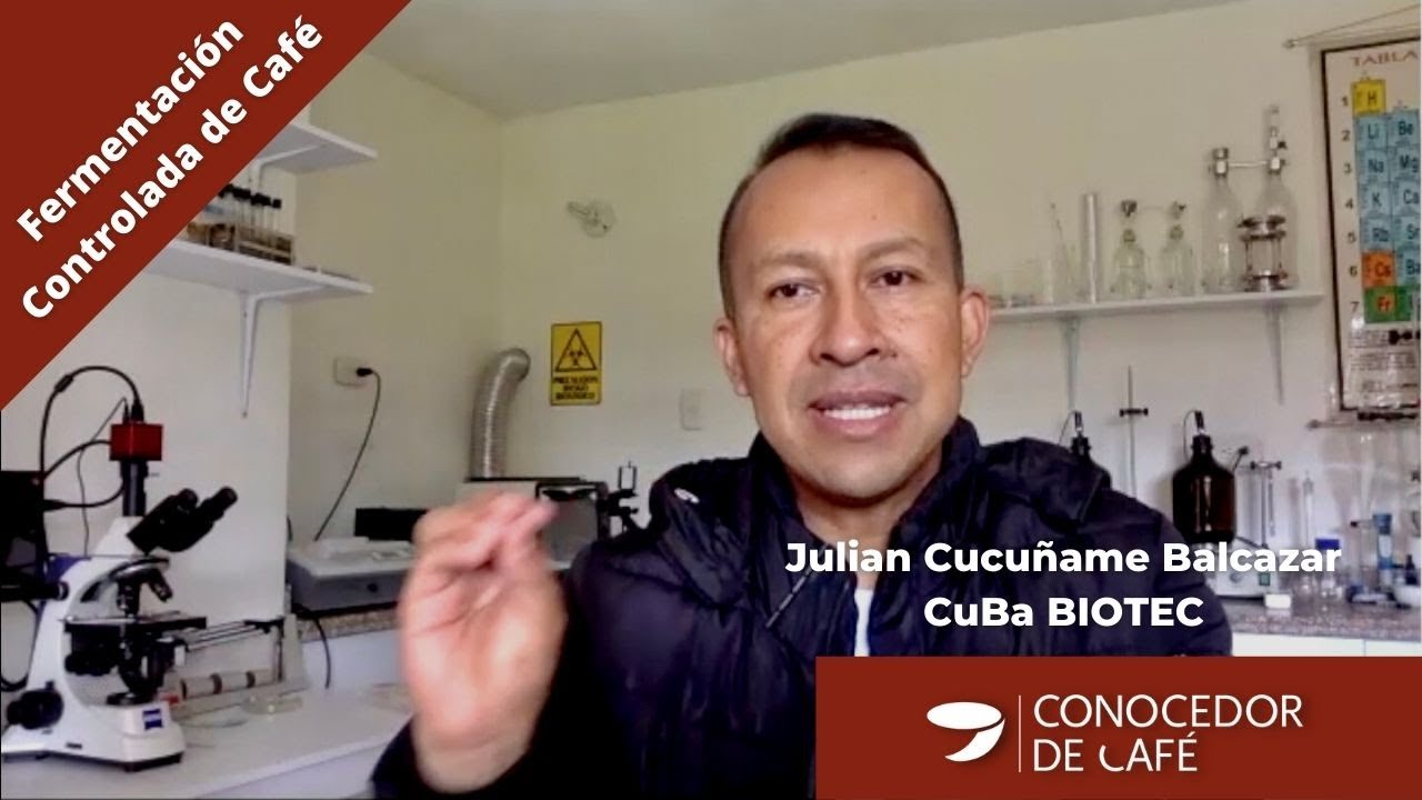 FERMENTACIÓN inocua y controlada para CAFÉS de alta calidad: Julian Cucuñame Balcazar | CuBa BIOTEC.