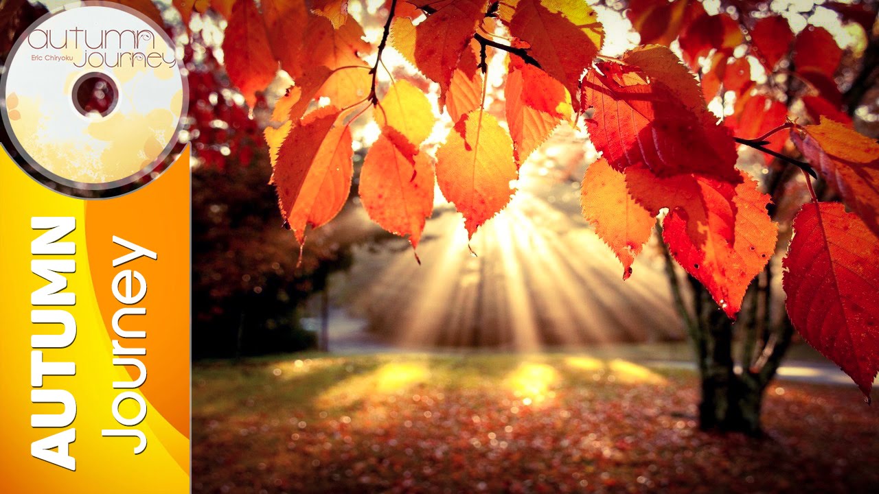 Eric Chiryoku - Reflection || Autumn Journey