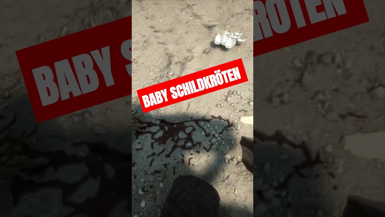 Baby Schildkr&ouml;ten 🐢 🌲 | Sons Of The Forest [ #shorts ]