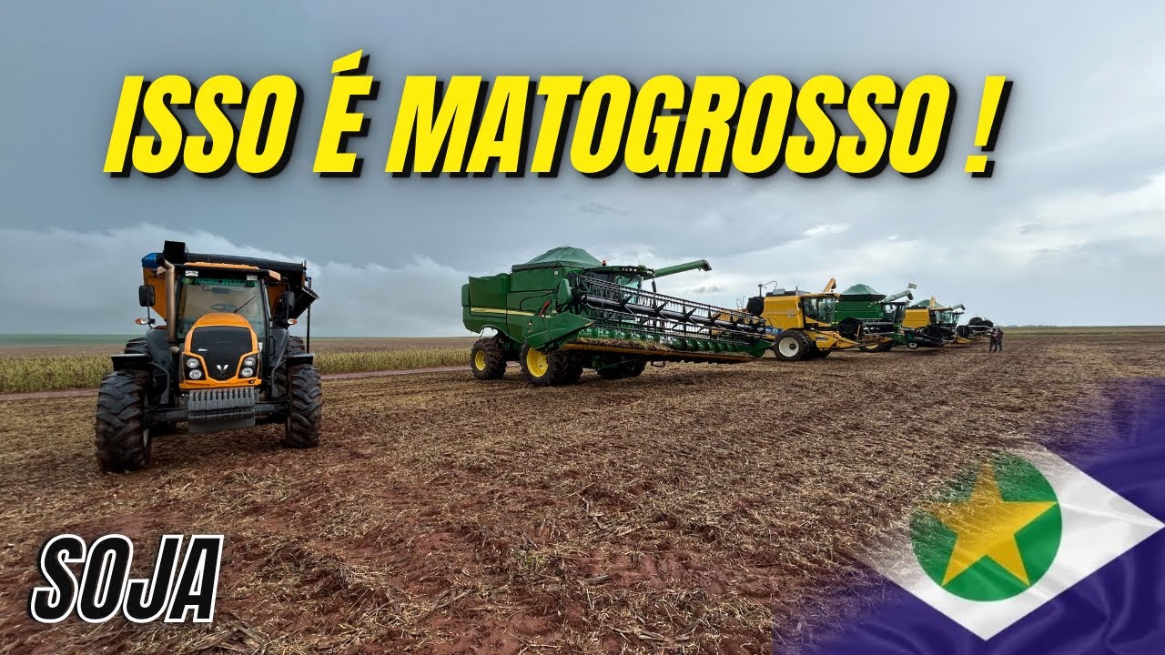 Isso é MATO GROSSO !!! 😱 Colheita de Soja safra!