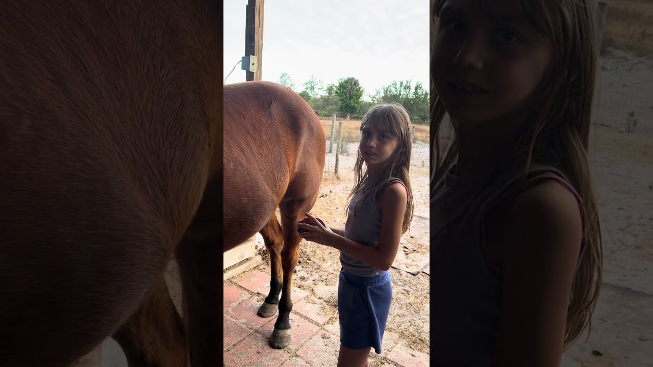 Kids Learn How to Groom a Horse | Beginner Horse Grooming for Kids