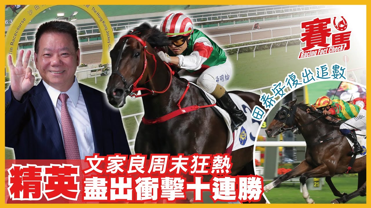 賽前Highlights｜11月15日周六沙田舉行日賽 文家良近兩季逢周六跑馬例贏 今期又準備精英出擊 田泰安停賽復出 多匹惡馬在手可數糊 去片就可以一次過睇晒 CC中文字幕#賽馬FactCheck