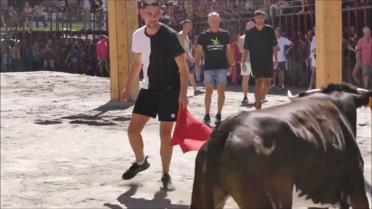 VAQUILLAS MAÑANERAS en las Fiestas del Tabaco y el Pimiento 2023 de Jaraíz de la Vera