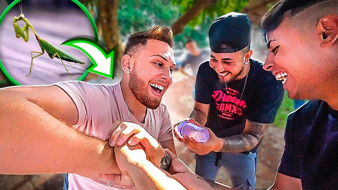 TROLAGEM PESADA - ELE TEM MUITO MEDO DESSE BIXO !! * louva a deus * cabe&ccedil;a de tri&acirc;ngulo 😂