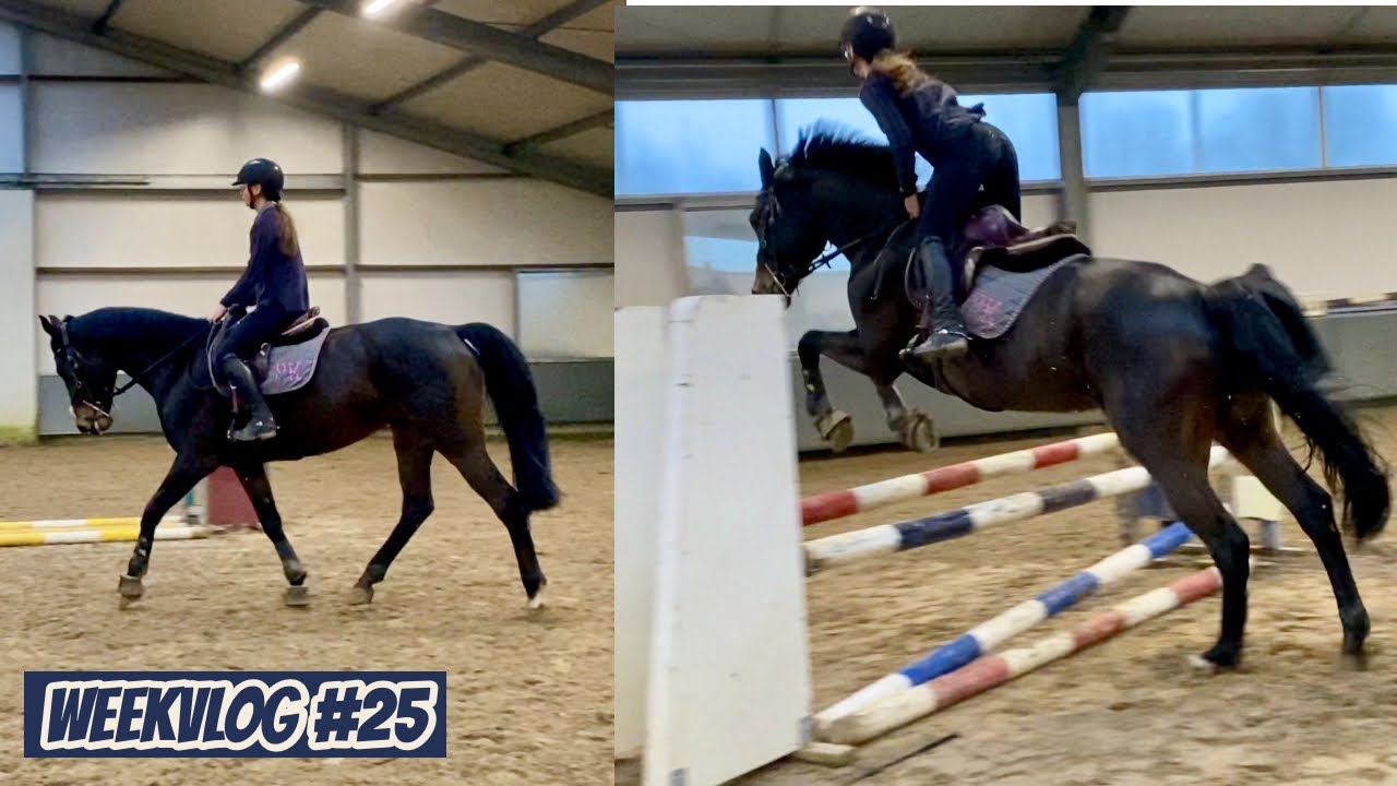 EERSTE KEER SPRINGEN MET GAMBA | Weekvlog 25 | Horses by Demi