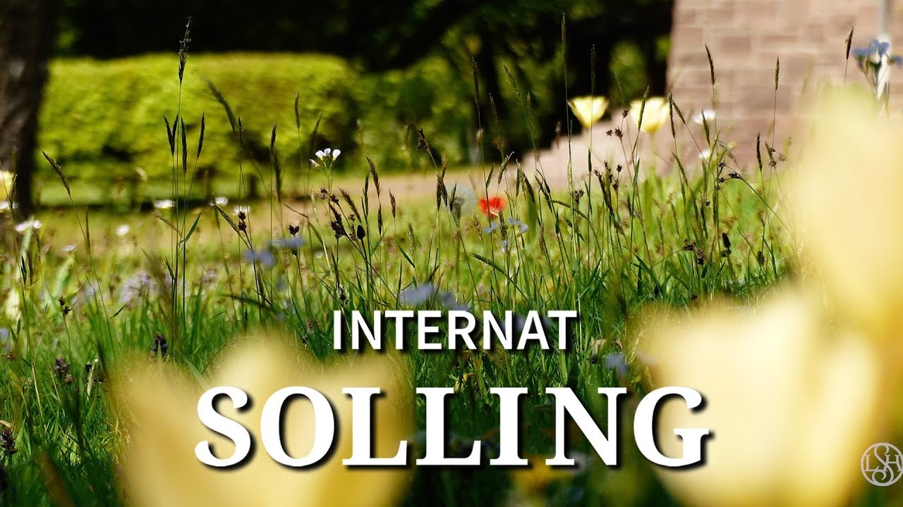 Internat Solling: Jahresrückblick 2017