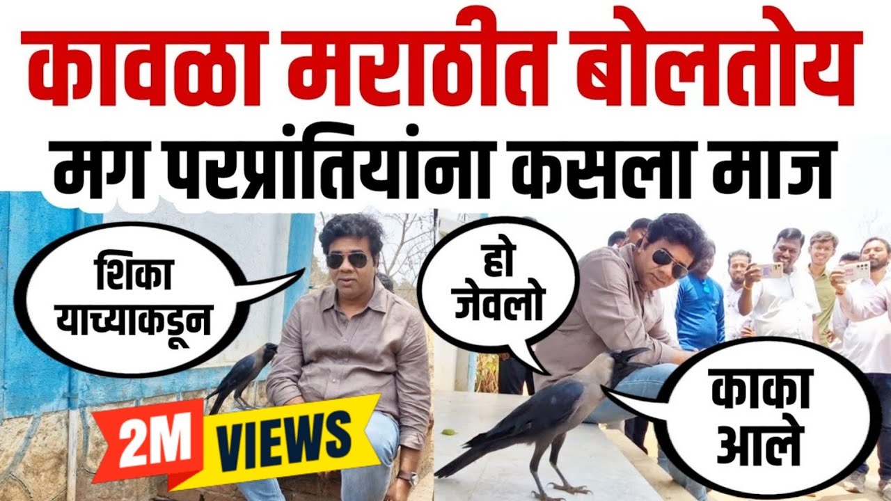 Avinash Jadhav | हाच तो कावळा जो मराठी मध्ये बोलतो आणि परप्रांतीयाना 25–25 वर्ष राहून मराठी येत नाही