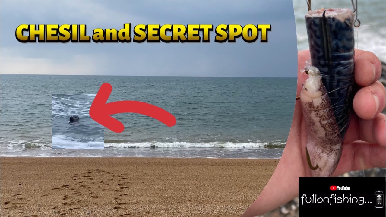 FULL DAY and NIGHT Sea Fishing CHESIL BEACH and a SECRET SPOT. ROCK MARK UK Shore Angling 2023.