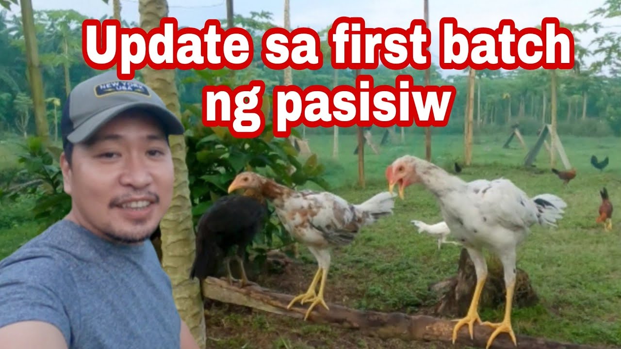 White Kelso x Super Sweater | Mclean Hatch x white kelso | Mel Sims Black x YLH