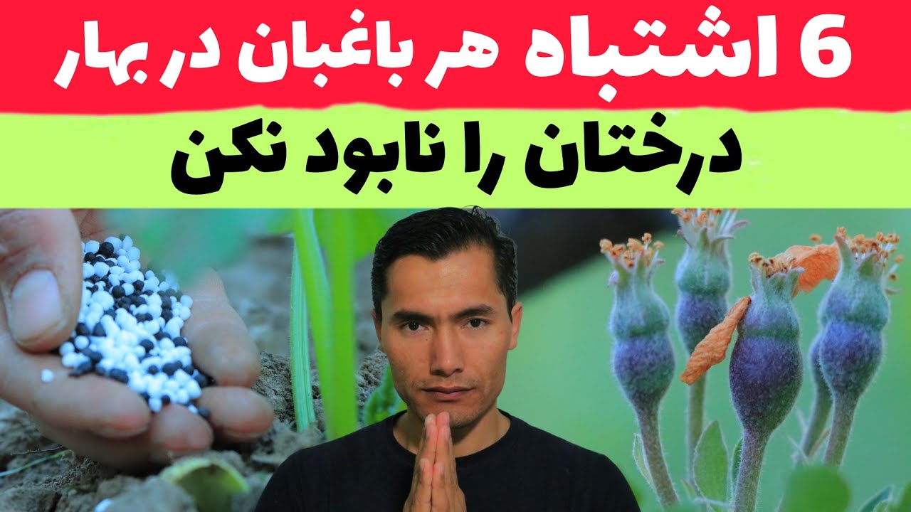 ۶ اشتباه هر باغبان در بهار / باعث نابود کردن درختان میوه میشود/