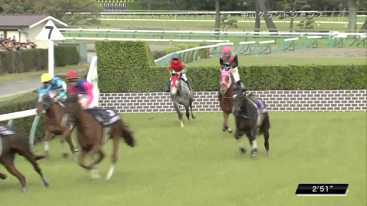 2016年4月16日 中山グランドジャンプ(J・G1) オジュウチョウサン
