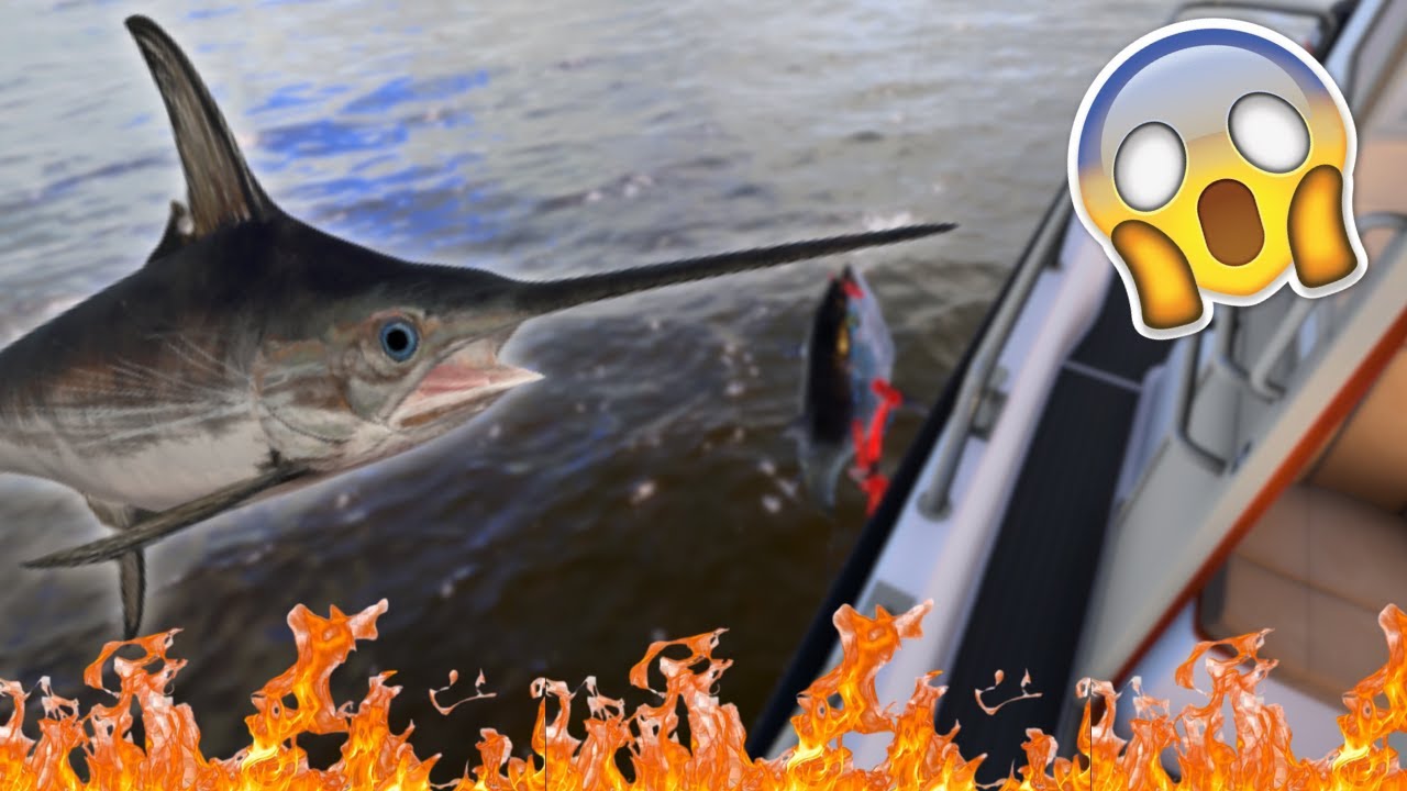 TUNA & SWORDFISH FISHING IN NORWAY SEA! | #788 Russian fishing 4