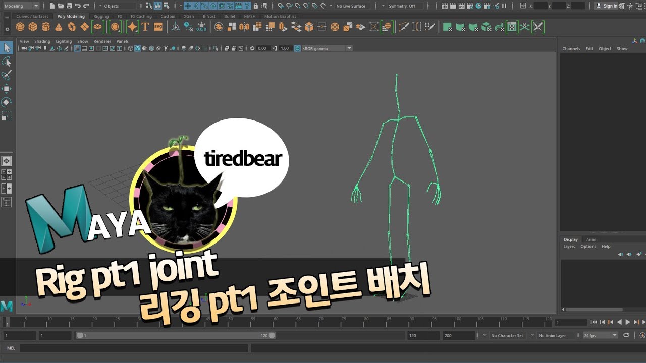 Maya Rig pt1 joint 리깅 pt1 조인트 배치