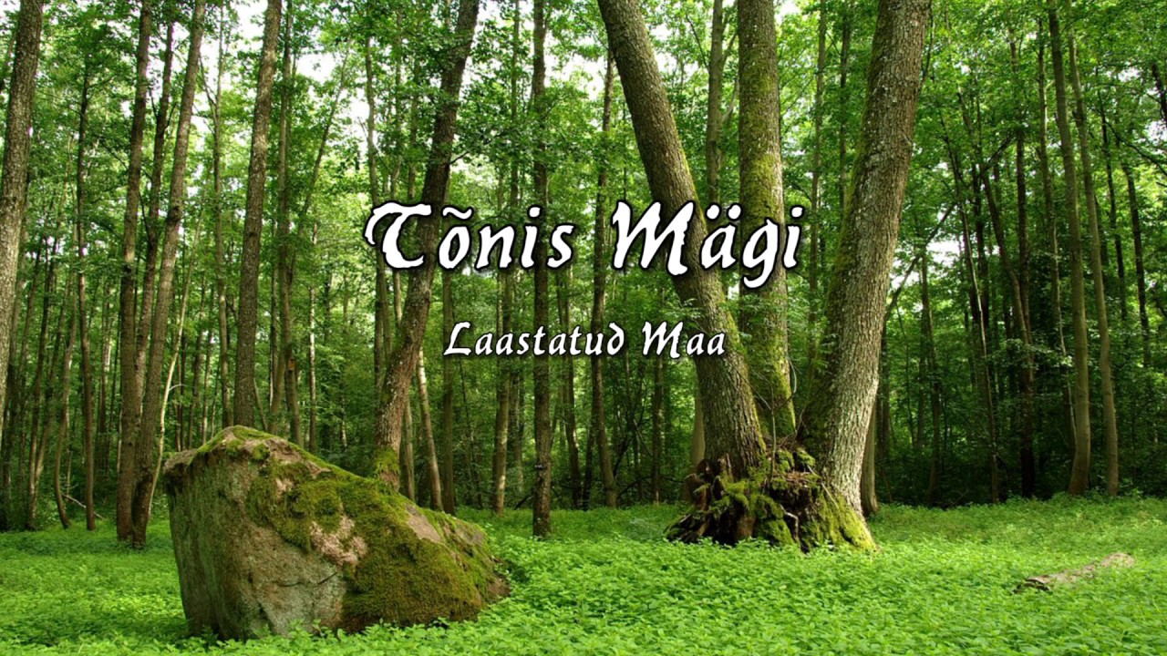 Tõnis Mägi - Laastatud Maa (sõnadega)