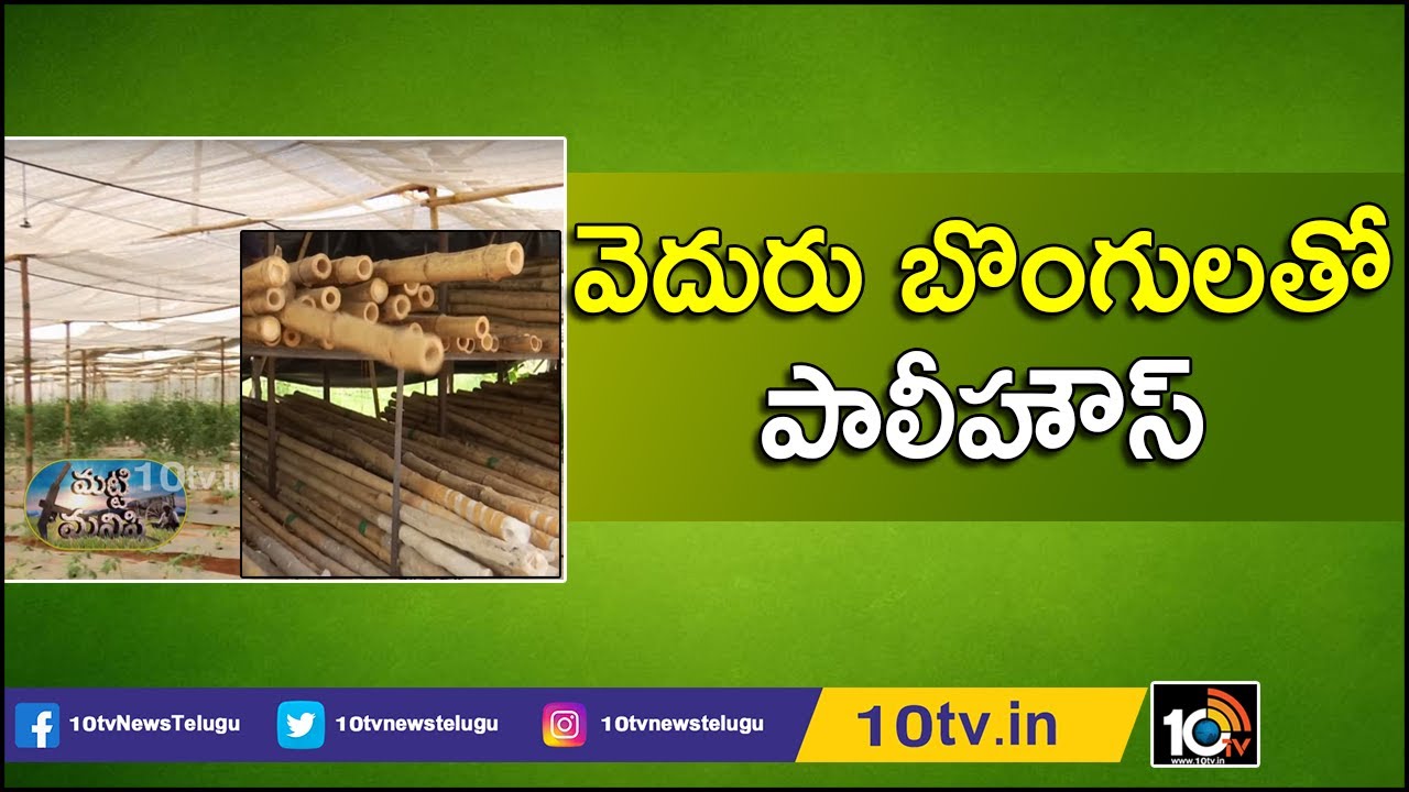 వెదురు బొంగులతో పాలీహౌస్ Farmer Success Story on Poly House Making With Bamboo Bong | Matti Manishi