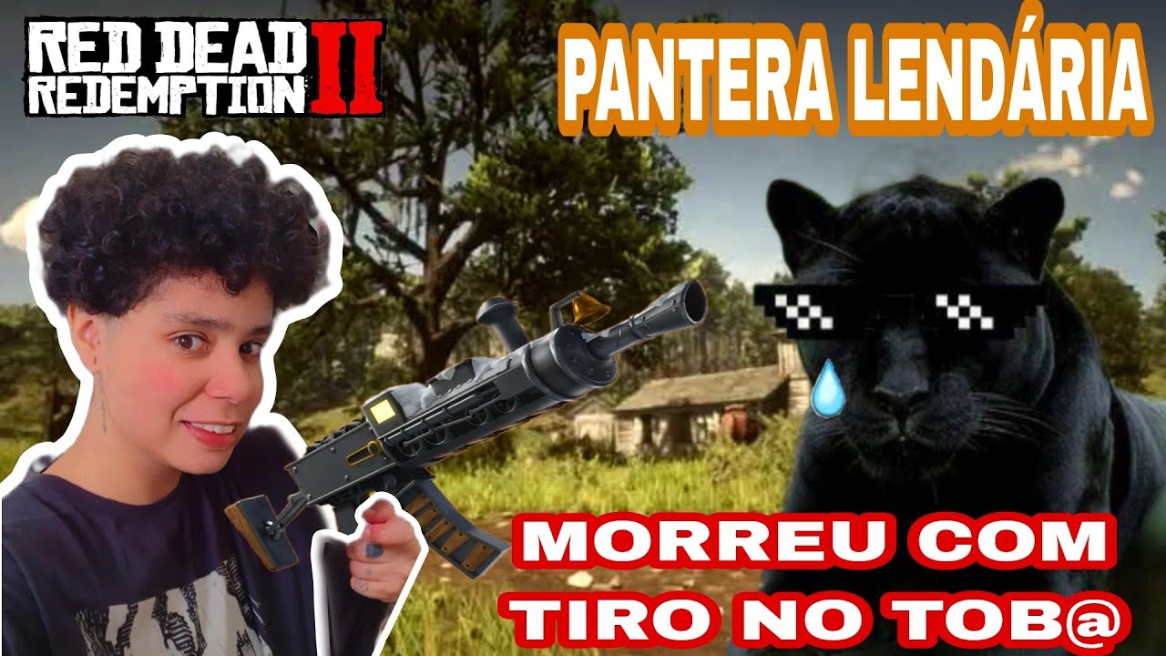 Pantera lend&aacute;ria | Como armazenar ou retirar chap&eacute;us e trajes no cavalo